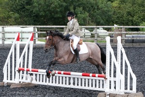 Class 3 -  Fences not above 2'3